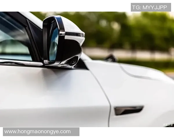 德容一天的生活：从晨跑到赛场，揭秘他如何准备每场比赛的全方位训练与休息